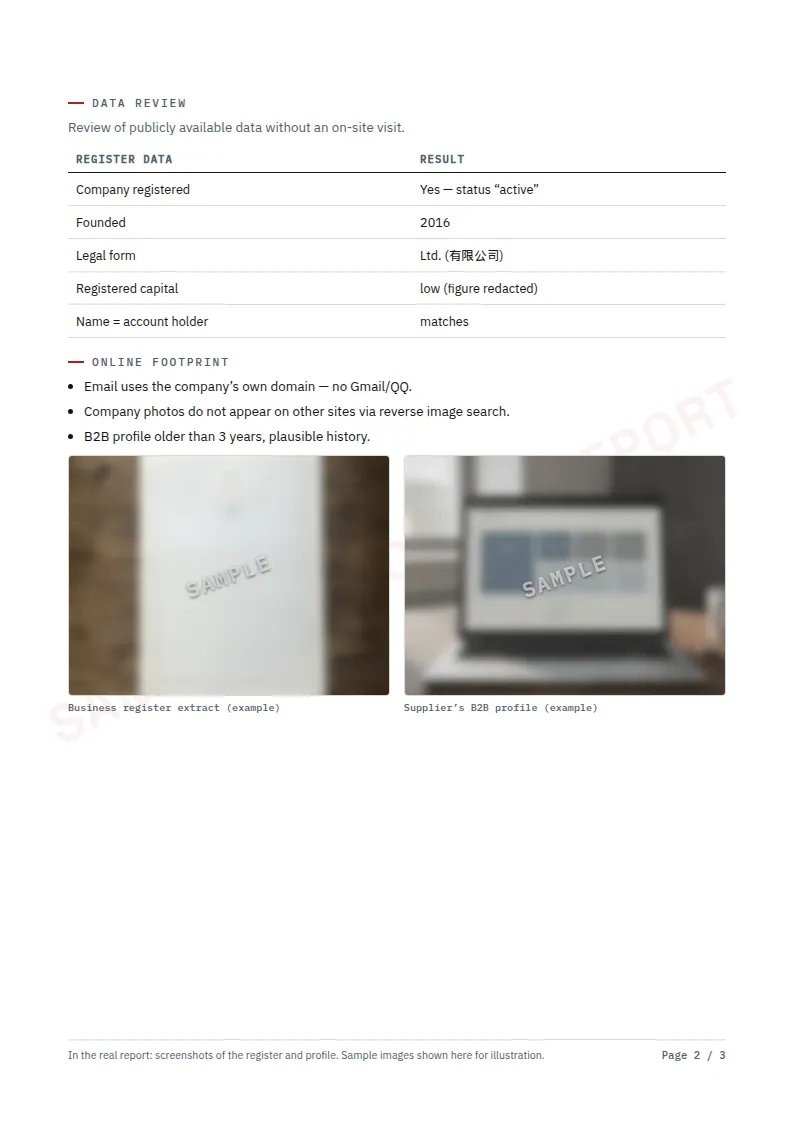 Report p. 2 — Online footprint